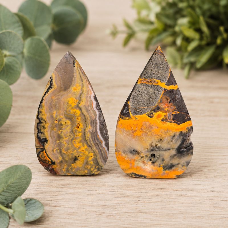 Medium polished Bumblebee Jasper arrow shapes with yellow, gray, cream and black natural patterns.