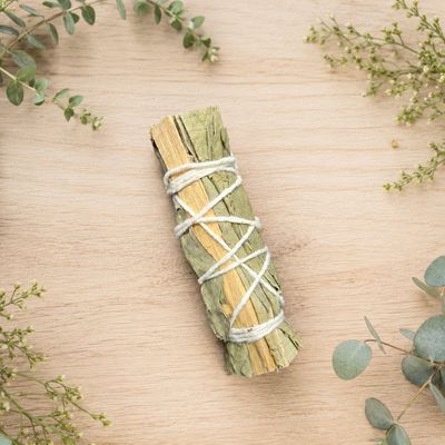 Eucalyptus and Palo Santo smudge stick displayed on a light wooden table with greenery