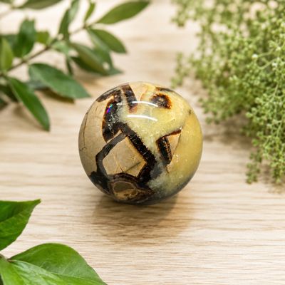 Front view of Septarian Jasper sphere on a light wooden table with greenery