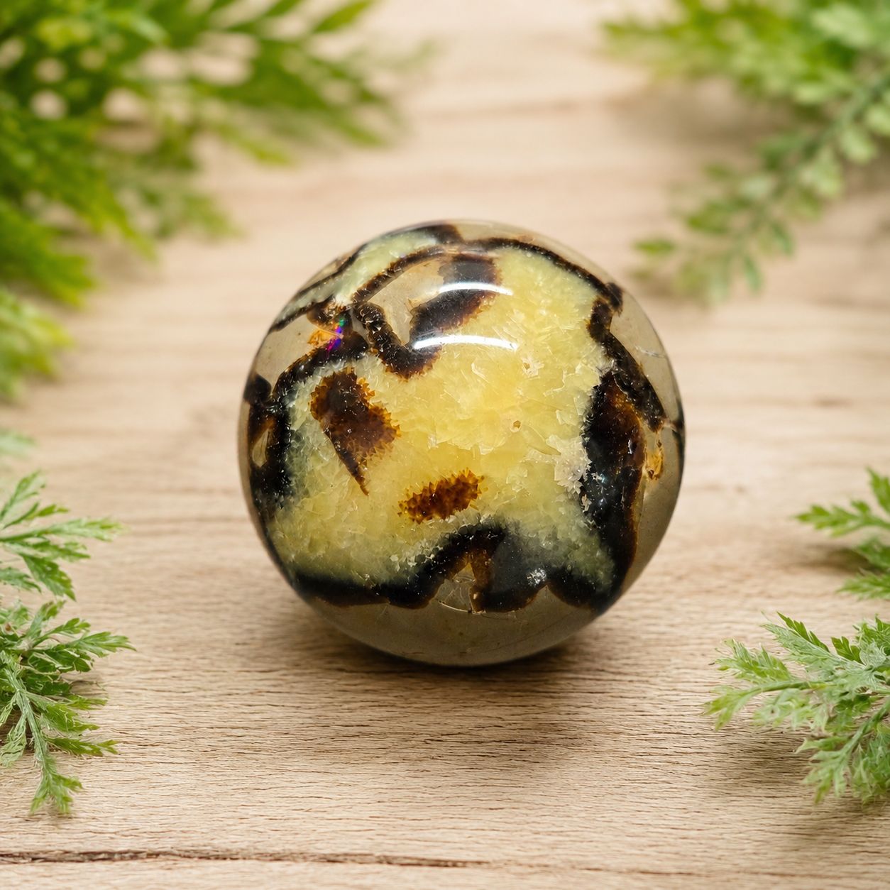 Septarian Jasper sphere with golden crystal formations and dark brown veining on a light wooden table.