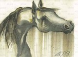 Horses