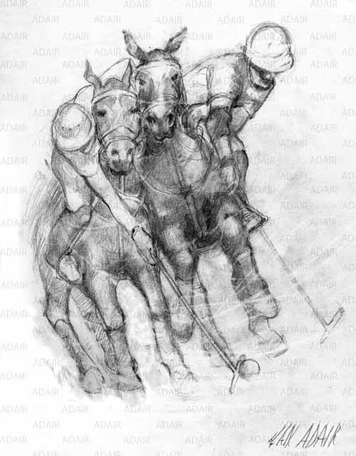 Equestrian Polo Collection