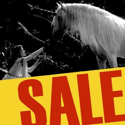 Last Unicorns