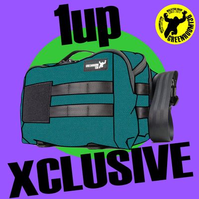 MetromongerDX 1Up