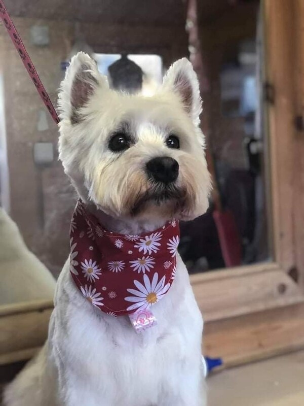 Bandanas with personalised logo labels