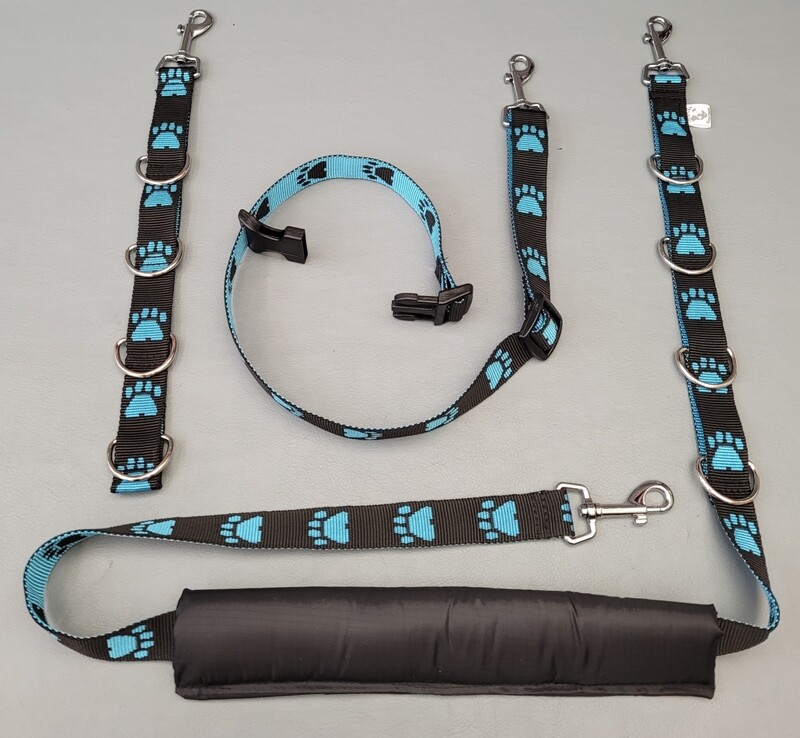 Budget restraints set 