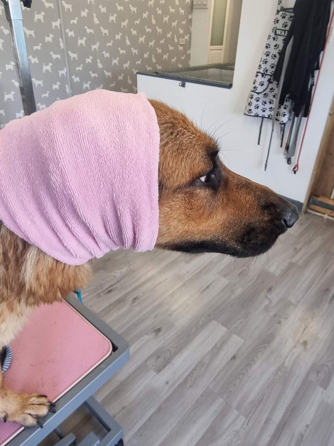 Towelling stretch Snoods
