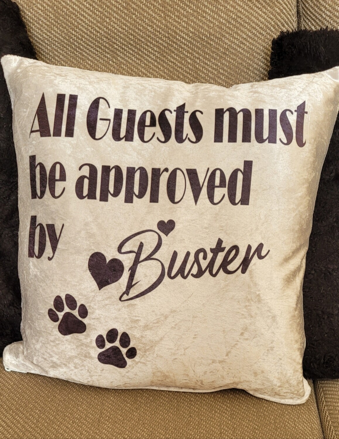 Cushion with pets name, all guests must be approved by....