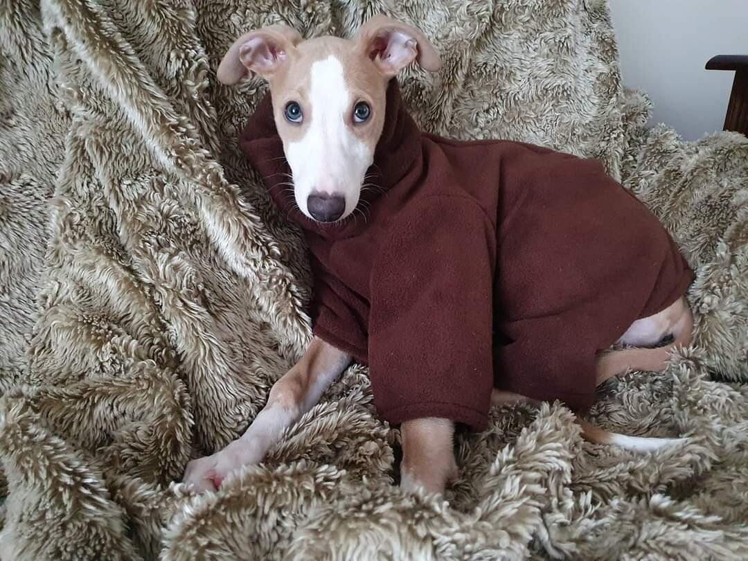 Fleece Onesie with zip