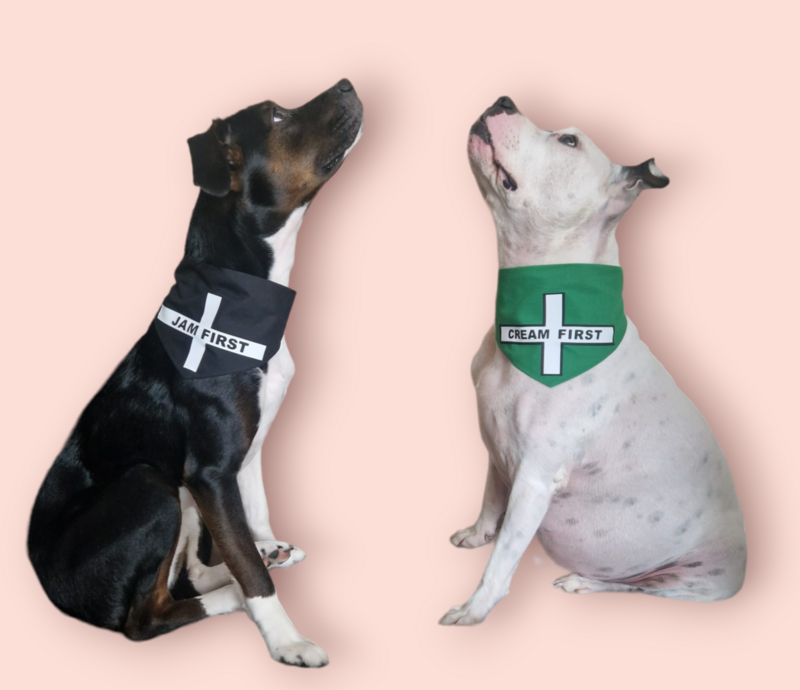 Devon and Cornwall, cream first, jam first. bandana, slide on collar.