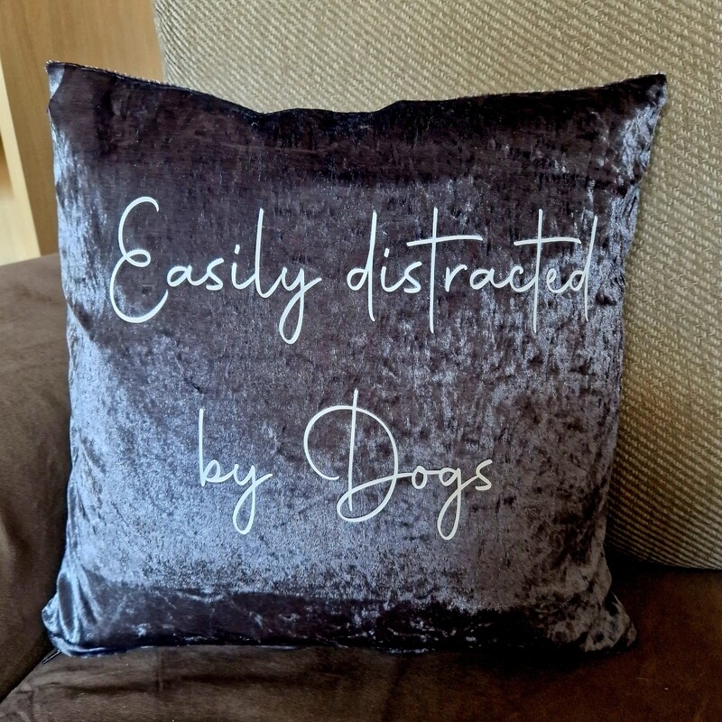 Easily distracted by dogs, crushed velvet cushion