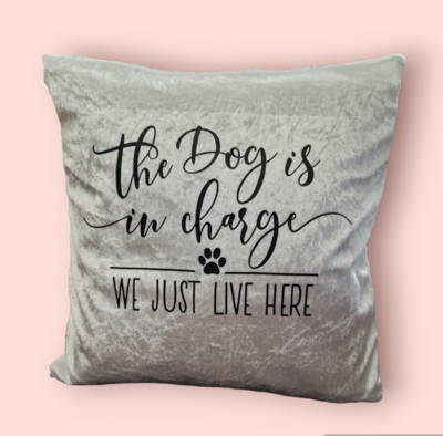 The dog (dogs are)is in charge, crushed velvet cushion 