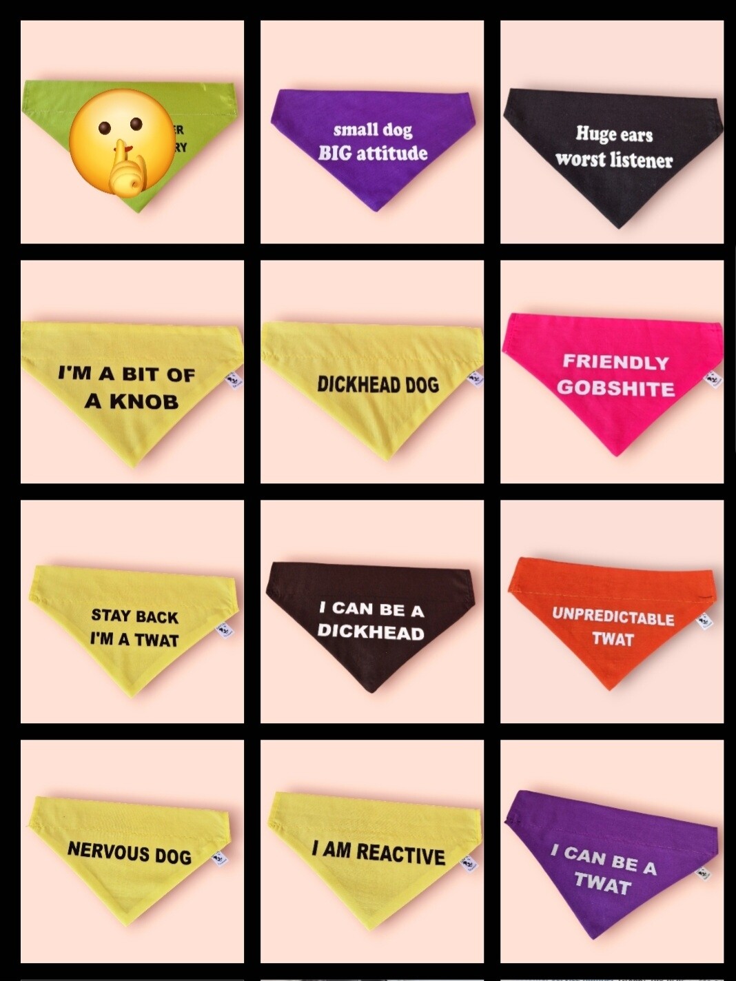 Warning or funny bandanas, slide on collar, be their voice
