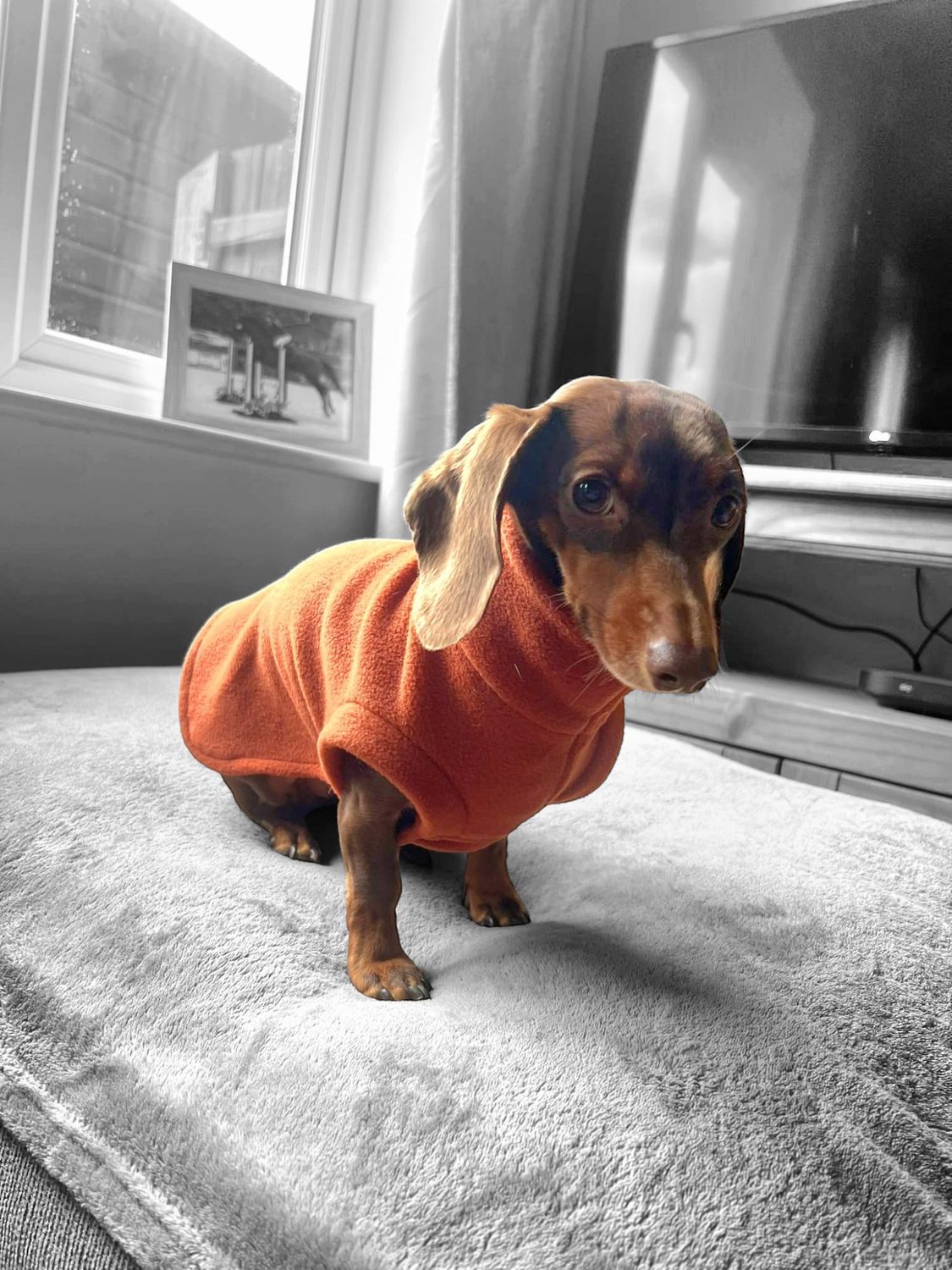 Fleece jumper