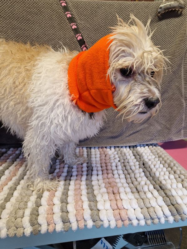 Snoods/ happy hoodies set of 3, small medium and large 