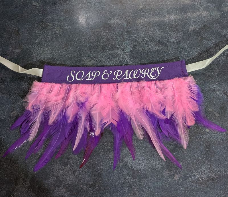 Personalised neck feathers frills (Asian style dog grooming)