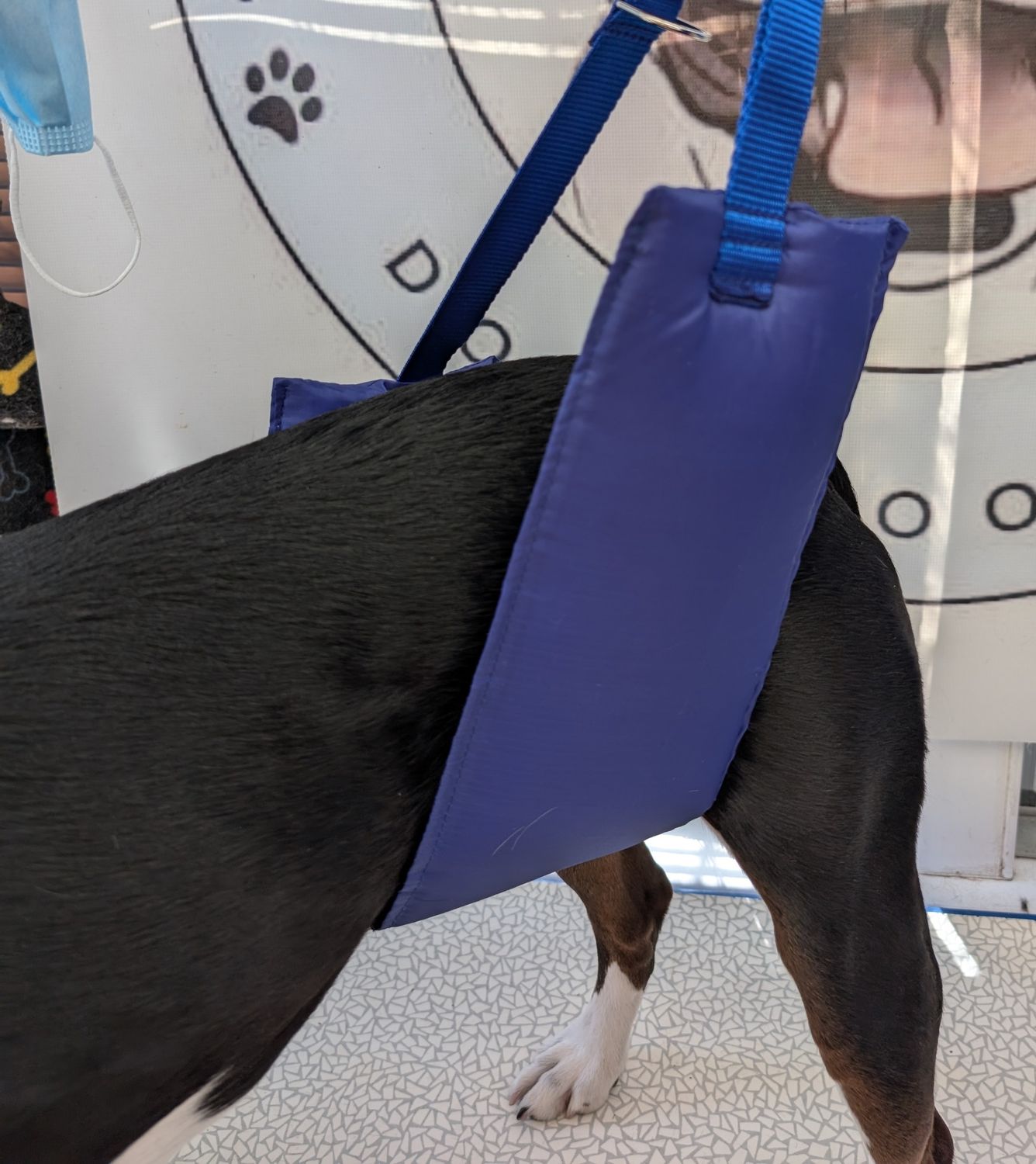 Super padded comfortable belly strap