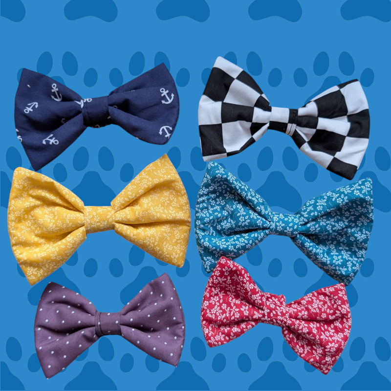 Bow tie. Standard or large