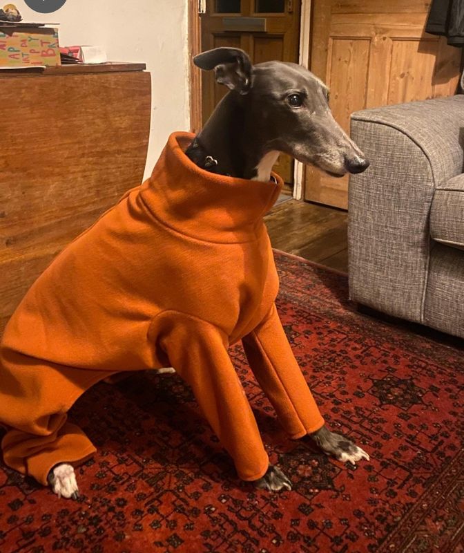 Fleece Onesie 4 legged suit 