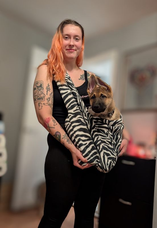 Dog sling carrier Pup-poose 