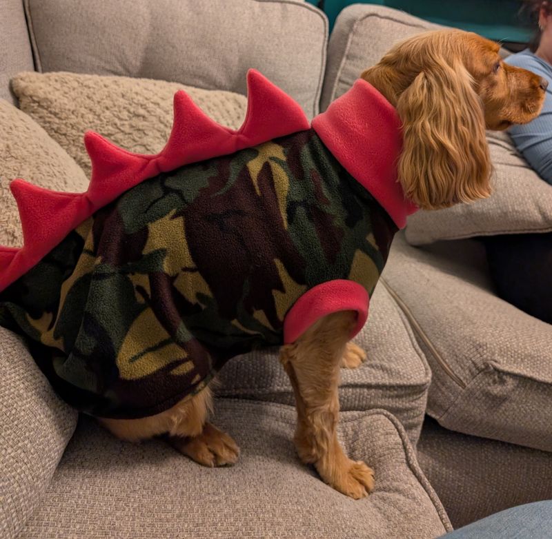 Dinosaur Fleece jumper