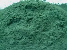 Poudre de Spiruline en VRAC pour animaux