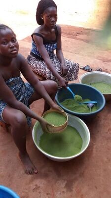 Moringa Solidaire du Bénin