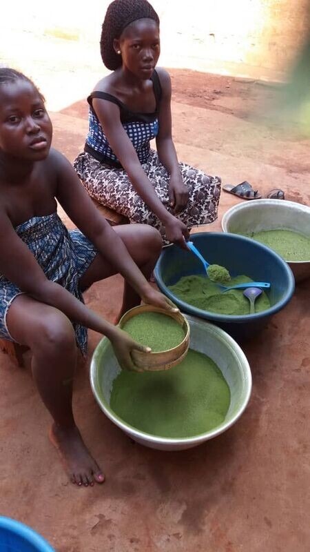 Moringa Solidaire du Bénin