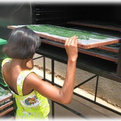 Spiruline Solidaire du Burkina Faso