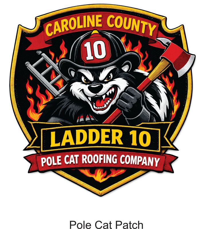 VECTOR SETUP - Pole Cat Patch