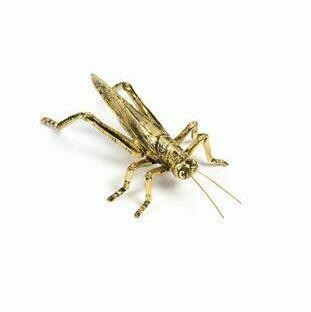 Grasshopper Gold