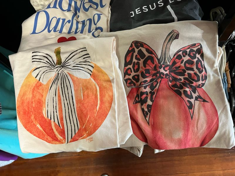 Pumpkin Bow Pumpkin Bow