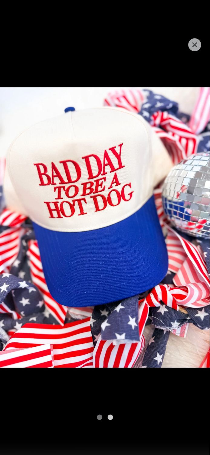 Bad Day to be a Hotdog Hat