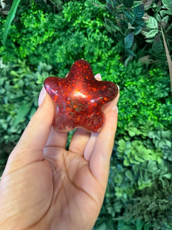Sals Squish- Star
