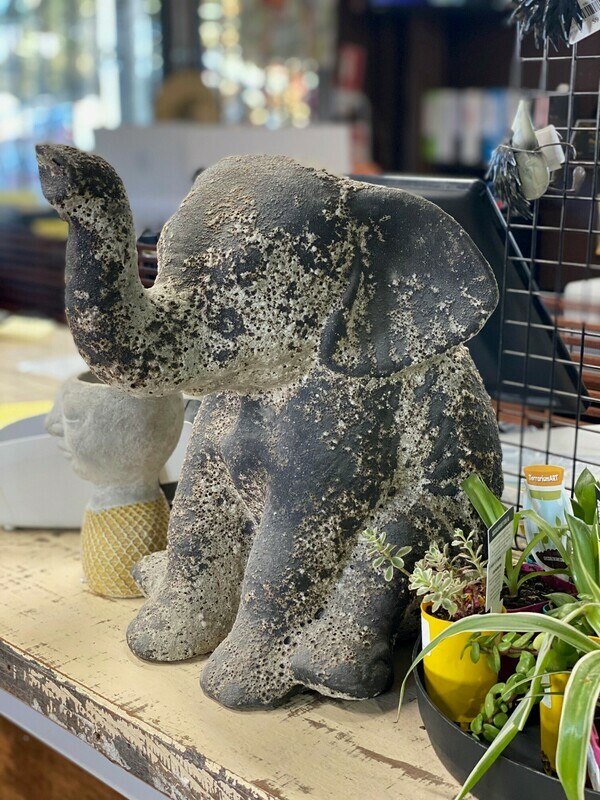 Lilly the baby elephant garden ornament. Lilly the baby elephant garden ornament.