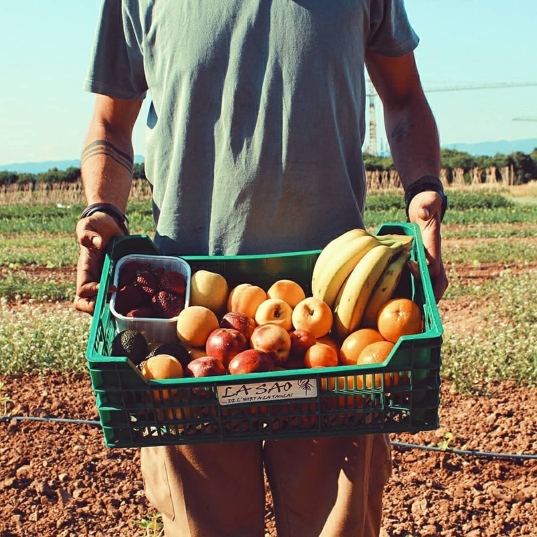 Cistella de fruites