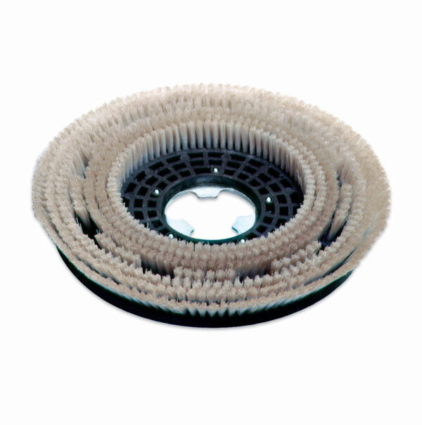 Roto-Orbital Brushes & Boards