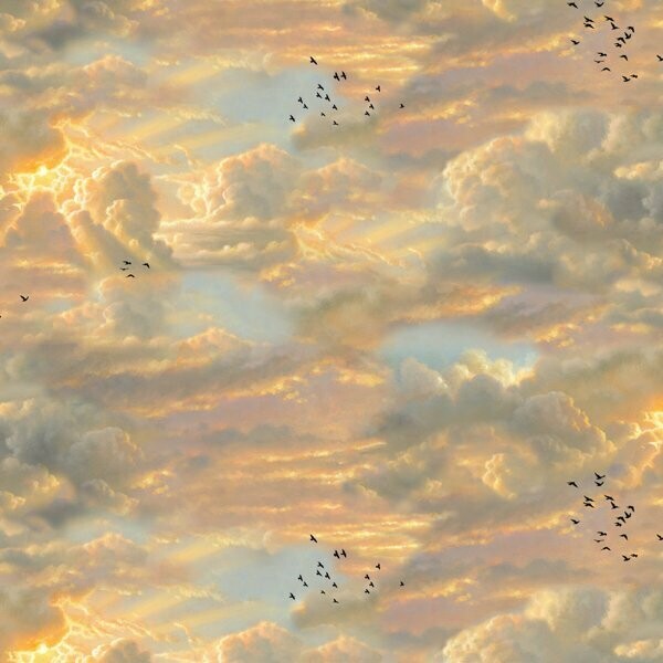 19,80/m, Himmel, Vögel, Wolken, Sonnenuntergang, Sonnenaufgang "Noah's Ark Sky Multi"