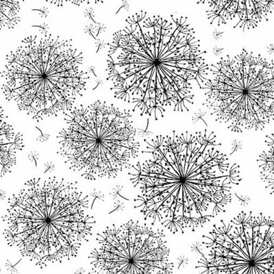 19,00/m, Kanvas Dandelion white/ black* 19,00/m, Kanvas Dandelion white/ black*