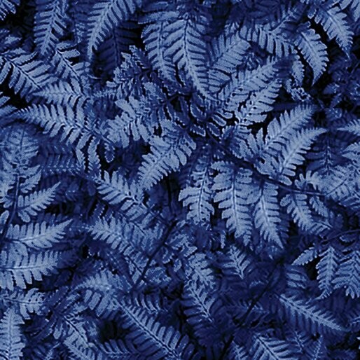 Patchworkstoff "Winter's Pearl Ferns Cobalt" mit Perlmut-Effekt, Farne, dunkelblau, 16,00 €/m