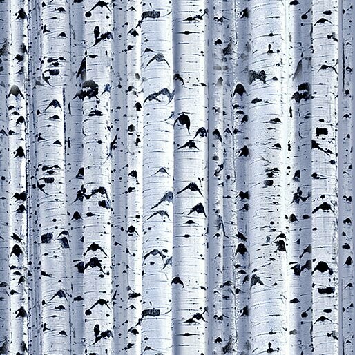 Patchworkstoff "Winter's Pearl Winter Birch Silver Gray" mit Perlmut-Effekt, Baumstämme Birken, hellgrau, 16,00 €/m*