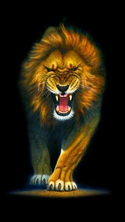 19,17/m Panel, Löwe, "Wildlife" ca. 60cm, hochwertiger Digitaldruck, schwarz