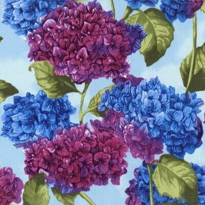 Hydrangea Harmony