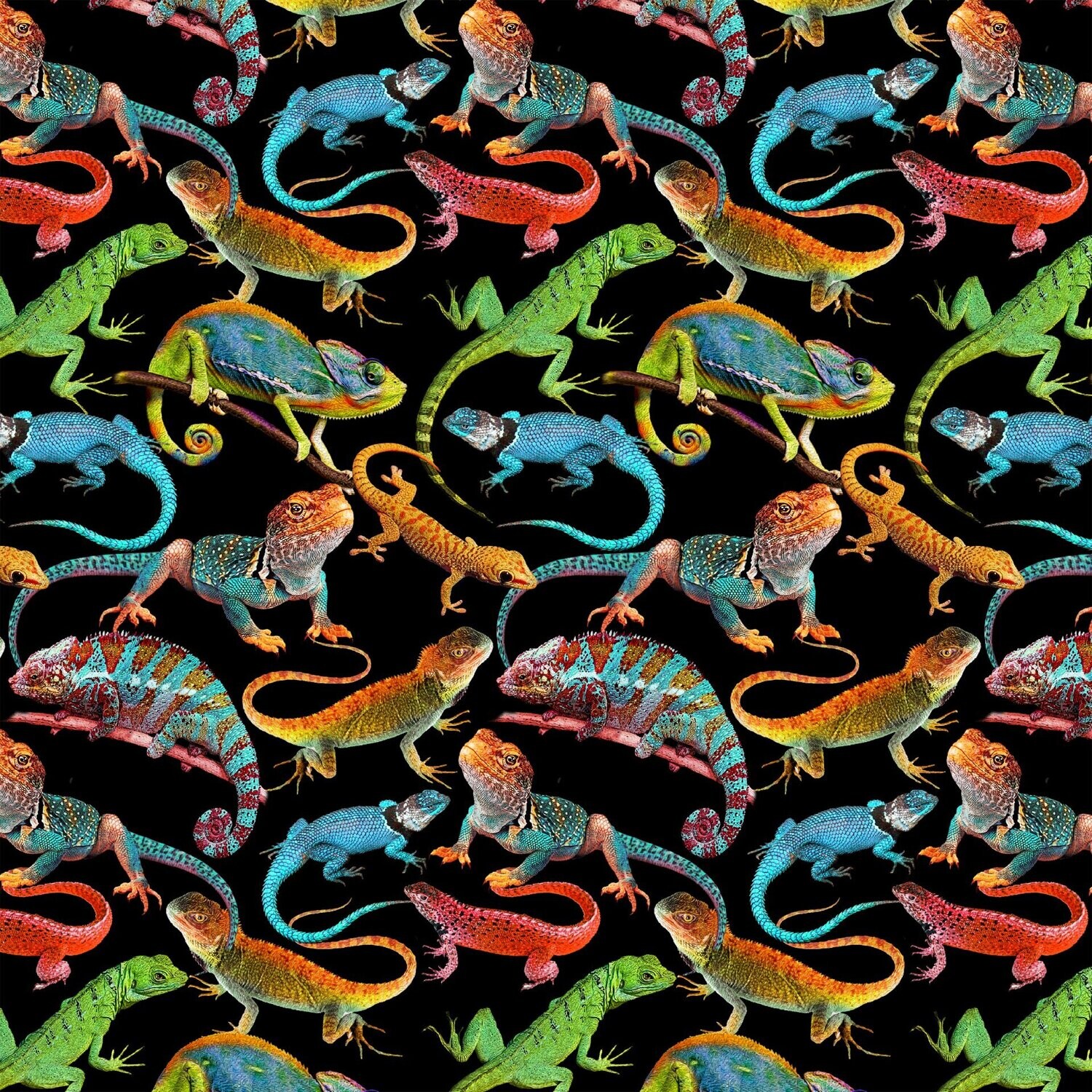 Patchworkstoff "Reptiles Black", Chamäleons & Echsen von One Of A Kind, schwarz, 19,80 €/m*