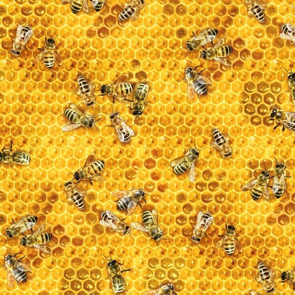 Patchworkstoff "Honeycomb Honey" Bienen und Waben, gelb, 18,00 €/m