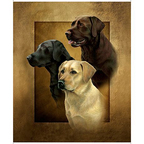 90-cm-Panel Patchworkstoff "Labrador Picture Panel", stilvolles Panel mit 3 Labradoren in braun, schwarz und creme, 20,56 €/m