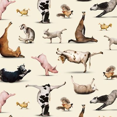 Patchworkstoff Patchworkstoff "Yoga Is For Everyone" Yoga Tiere, Kühe, Schafe, Schweine, Pferde, Küken, 20,50€/m