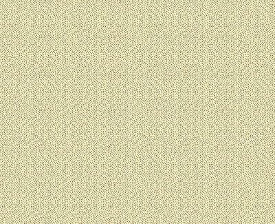 Patchworkstoff Petit Points Patchworkstoff Petit Points "Cream Sand", kleine Punkte in sand-beige19,00 €/m*