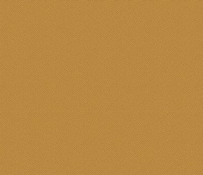 Patchworkstoff Petit Points Patchworkstoff Petit Points "Cappucino", kleine Punkte in hellbraun 19,00 €/m*