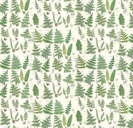 Patchworkstoff Patchworkstoff "Green Ferns" mit Farn von Tim Holtz , 20,50€/m